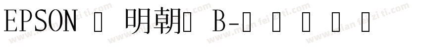EPSON 太明朝体B字体转换